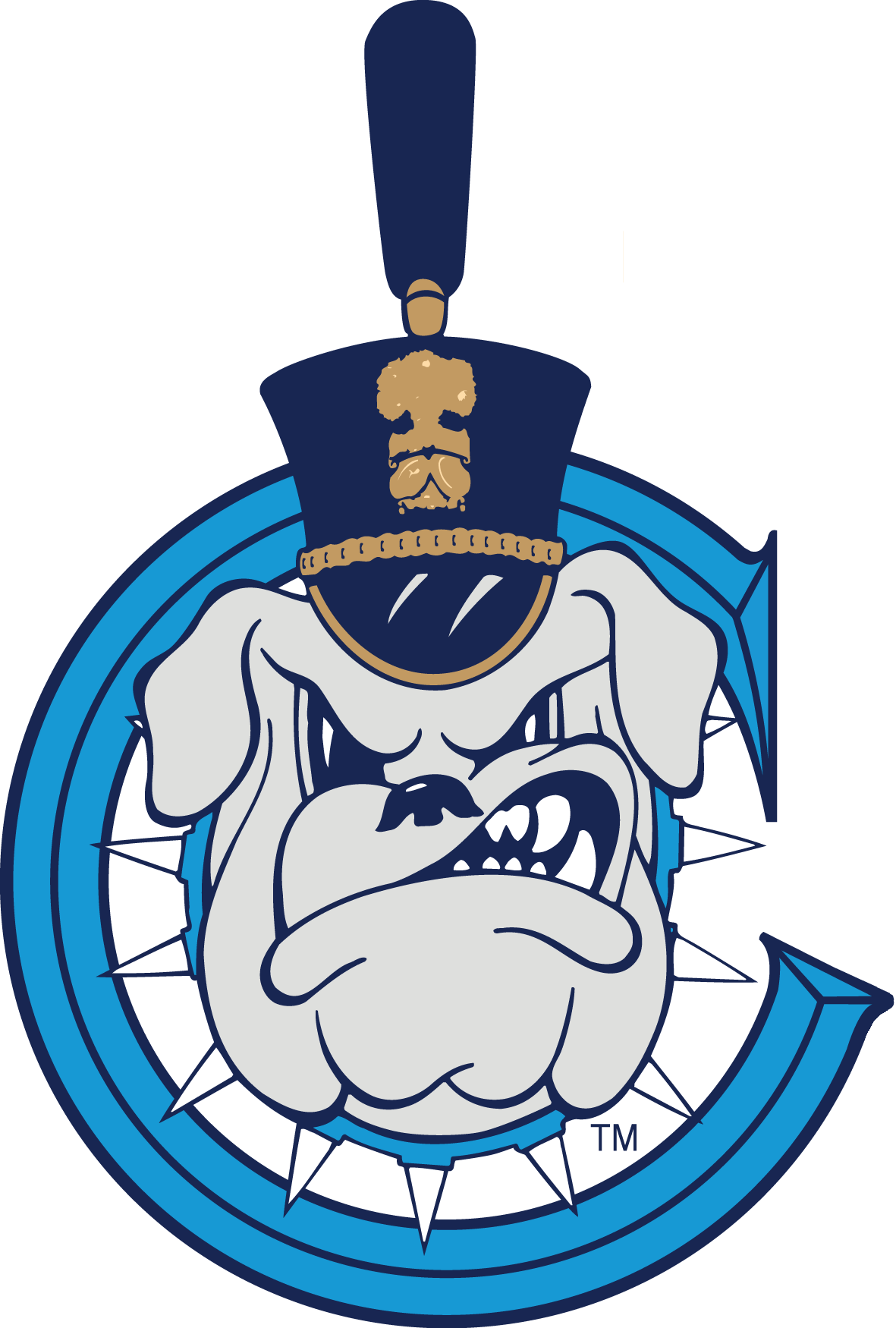 The Citadel Bulldogs 0-Pres Secondary Logo DIY iron on transfer (heat transfer)